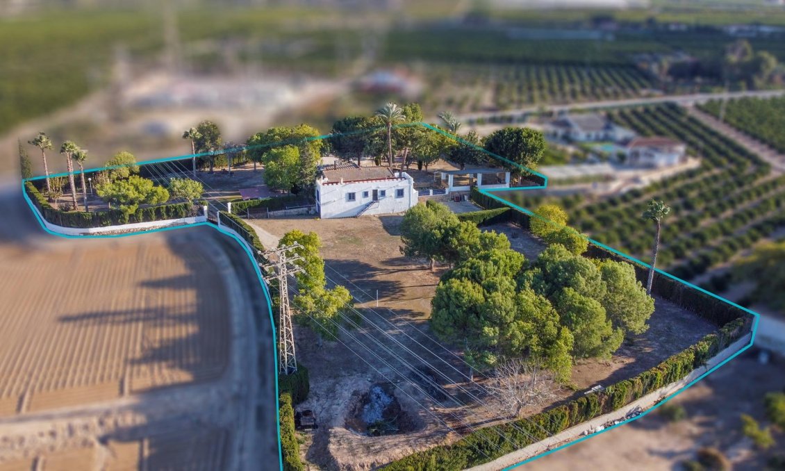 Segunda mano - Villa -
Orihuela