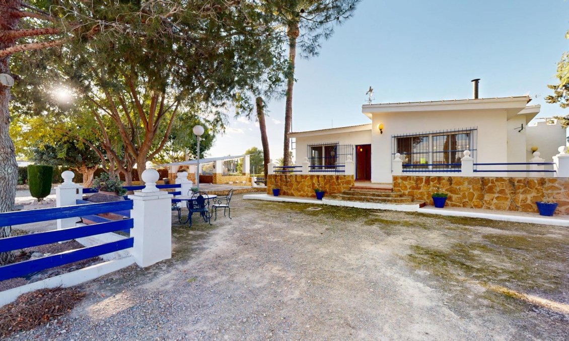 Segunda mano - Villa -
Orihuela