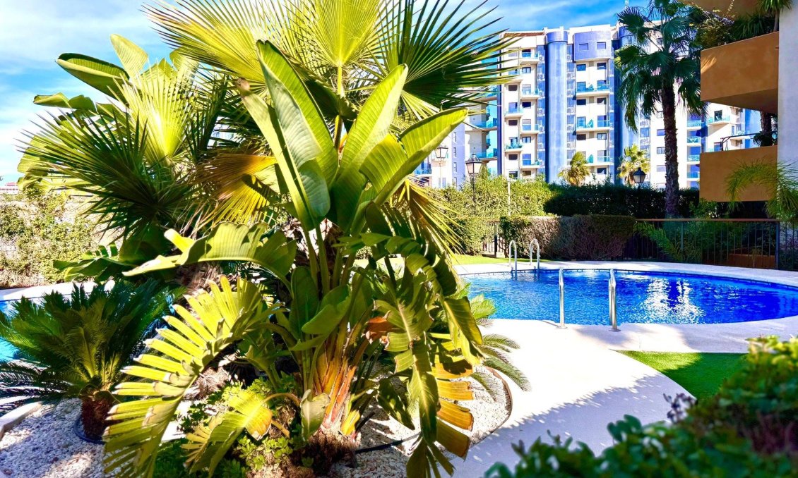 Segunda mano - Apartamento -
Torrevieja - Punta Prima