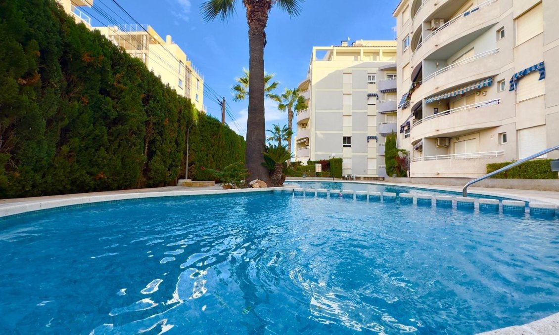 Segunda mano - Apartamento -
Torrevieja - Playa del Cura