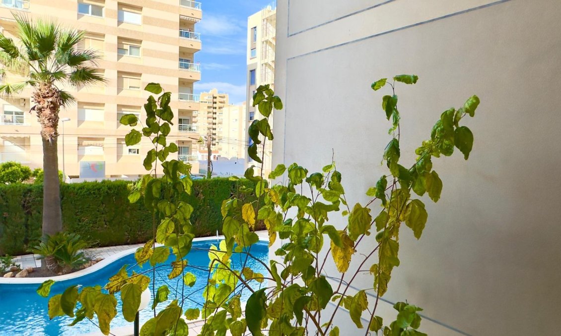 Segunda mano - Apartamento -
Torrevieja - Playa del Cura