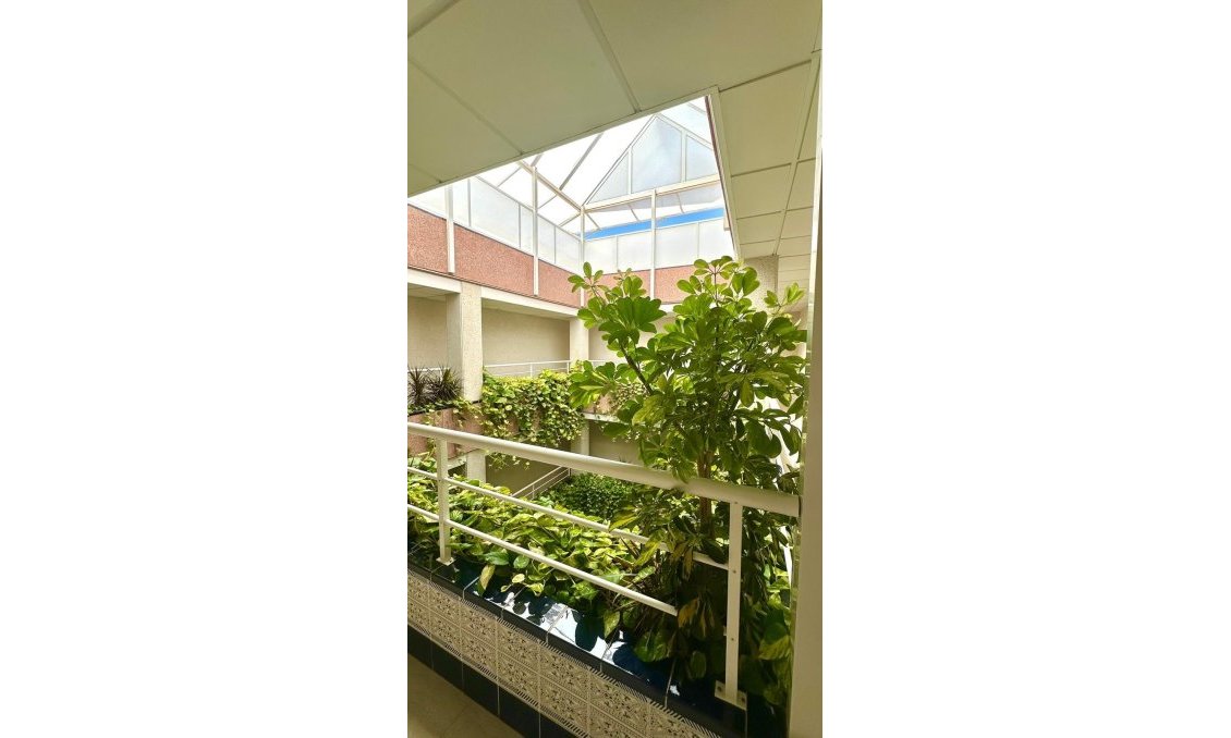 Használt Ingatlanok - Tetőtéri lakás -
Torrevieja - Centrum