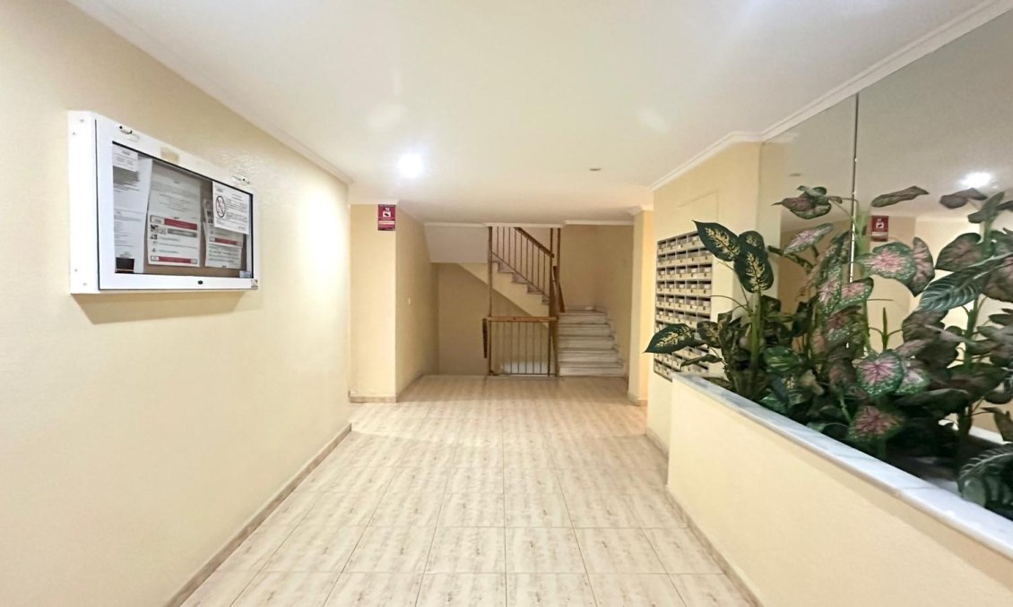 Használt Ingatlanok - Apartman -
Torrevieja - Acequion