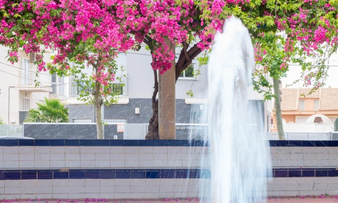 Használt Ingatlanok - Apartman -
Torrevieja - Estacion De Autobuses