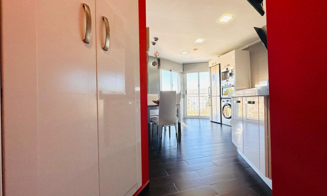 Használt Ingatlanok - Apartman -
Torrevieja - Estacion De Autobuses