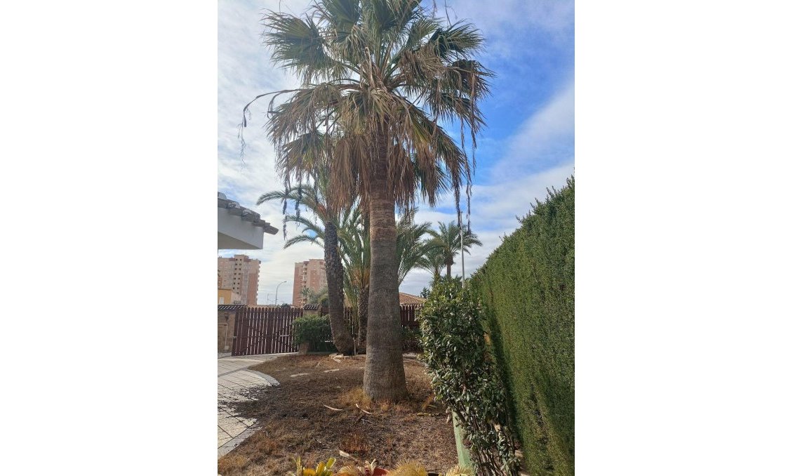 Használt Ingatlanok - Villa -
Orihuela Costa - Campoamor