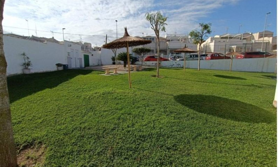 Használt Ingatlanok - Apartman -
Torrevieja - Los Balcones