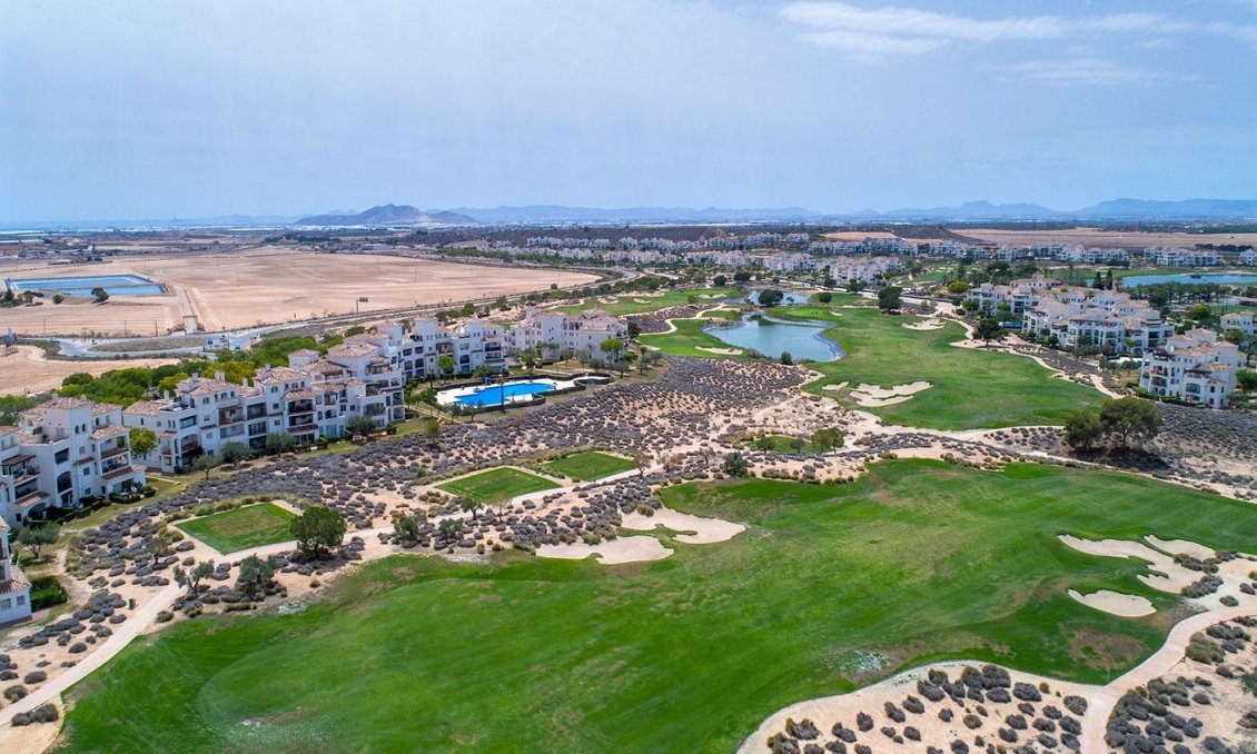 Nouvelle construction - Villa -
Sucina