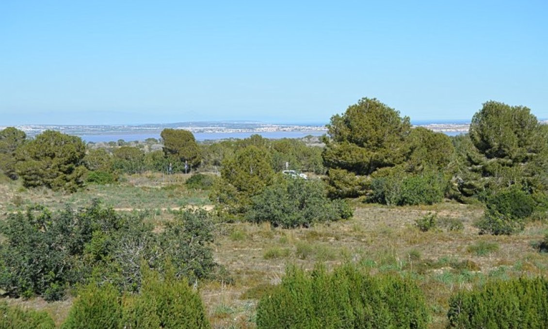 Resale - Apartment -
San Miguel de Salinas - Inland