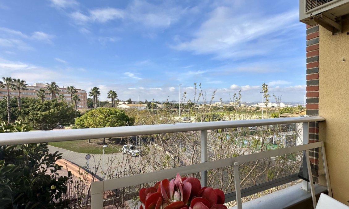 Resale - Apartment -
Torrevieja - Costa Blanca