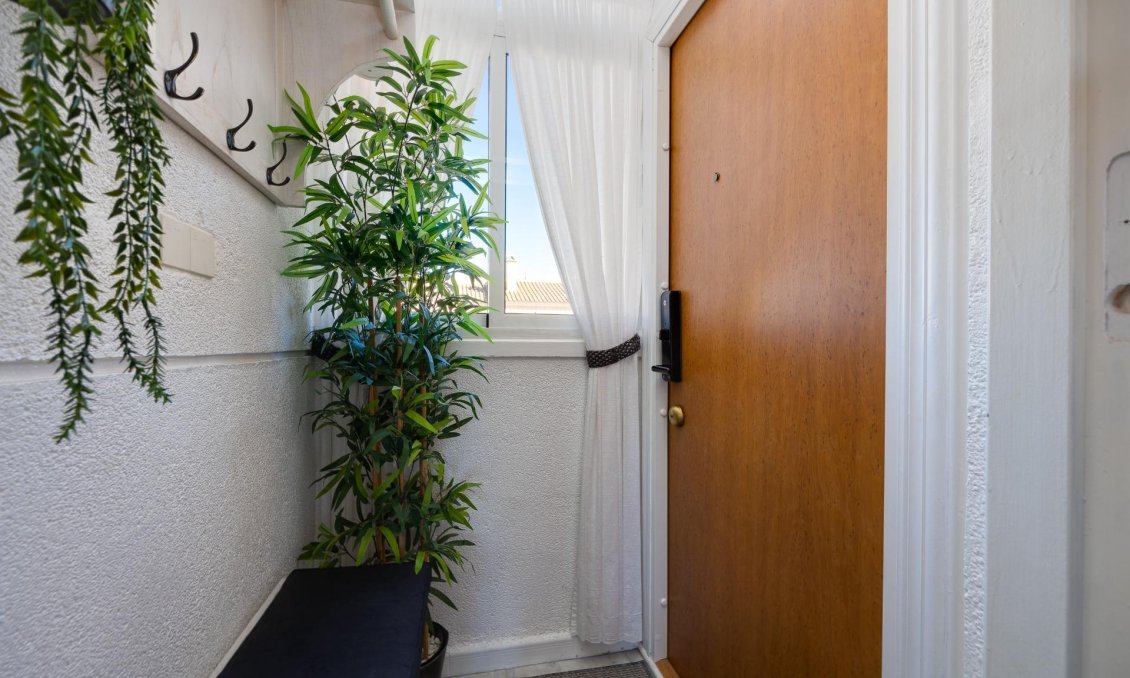 Segunda mano - Bungalow -
Torrevieja - El Molino