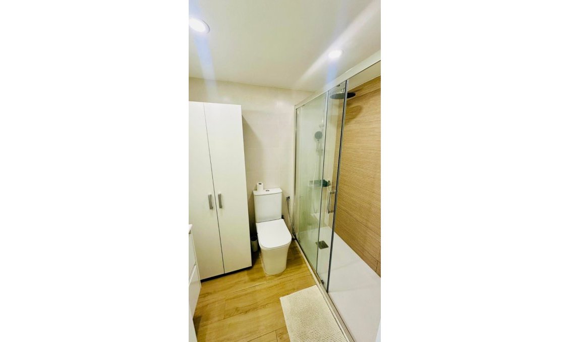 Használt Ingatlanok - Apartman -
Torrevieja - Costa Blanca