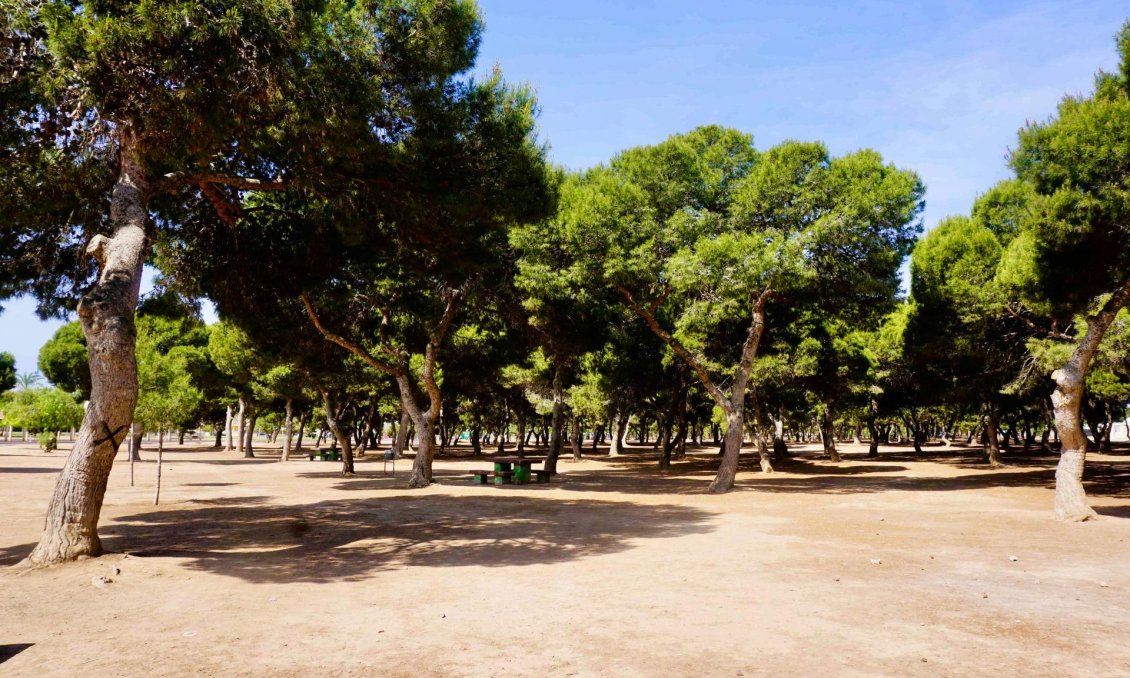 Resale - Apartment -
Santiago de la Ribera - Santiago De La Ribera