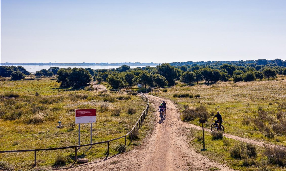 Használt Ingatlanok - Apartman -
Torrevieja - Centrum - Muelle Pesquero