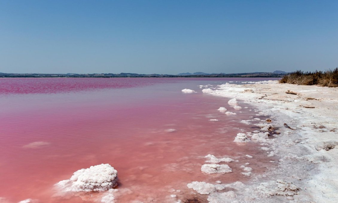 Használt Ingatlanok - Apartman -
Torrevieja - Centrum - Muelle Pesquero