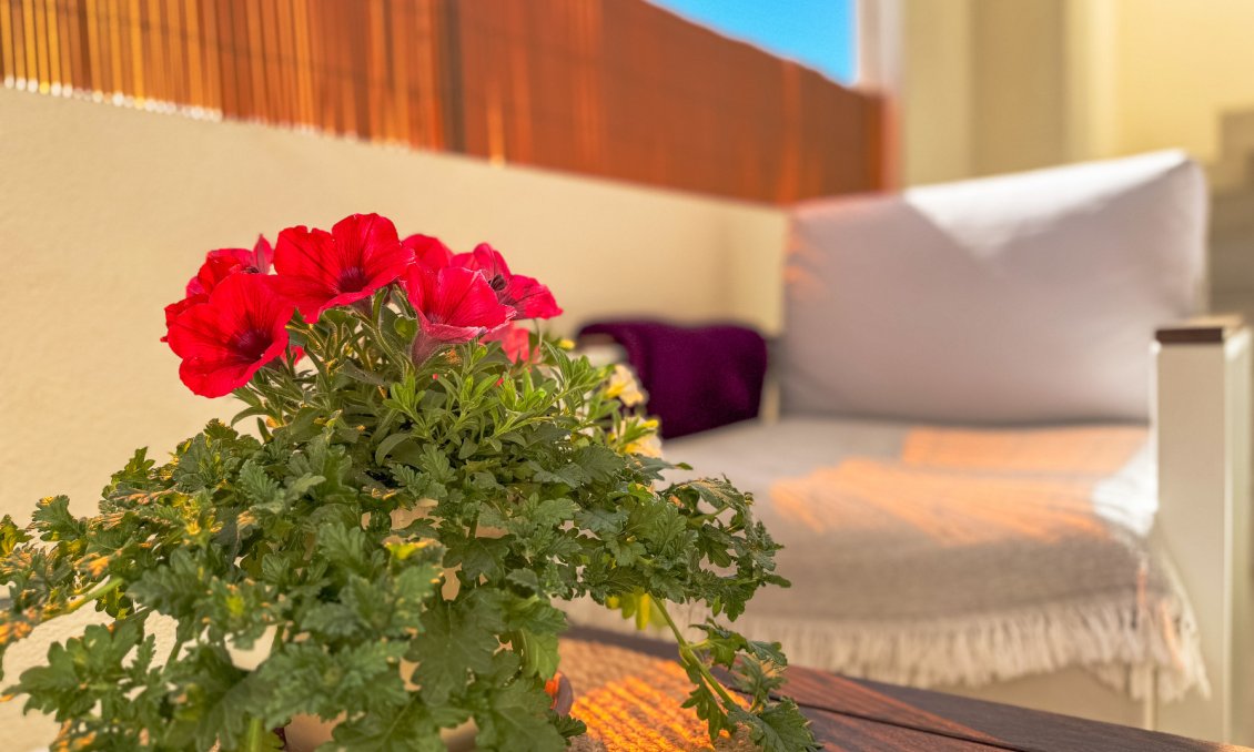 Használt Ingatlanok - Bungaló -
Los Altos - Costa Blanca