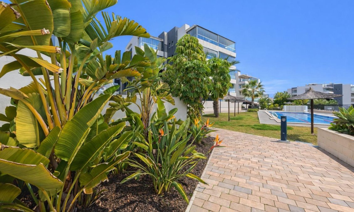 Használt Ingatlanok - Apartman -
Orihuela Costa - Villamartín