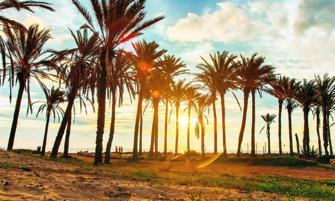 Wiederverkauf - Wohnung -
Orihuela Costa