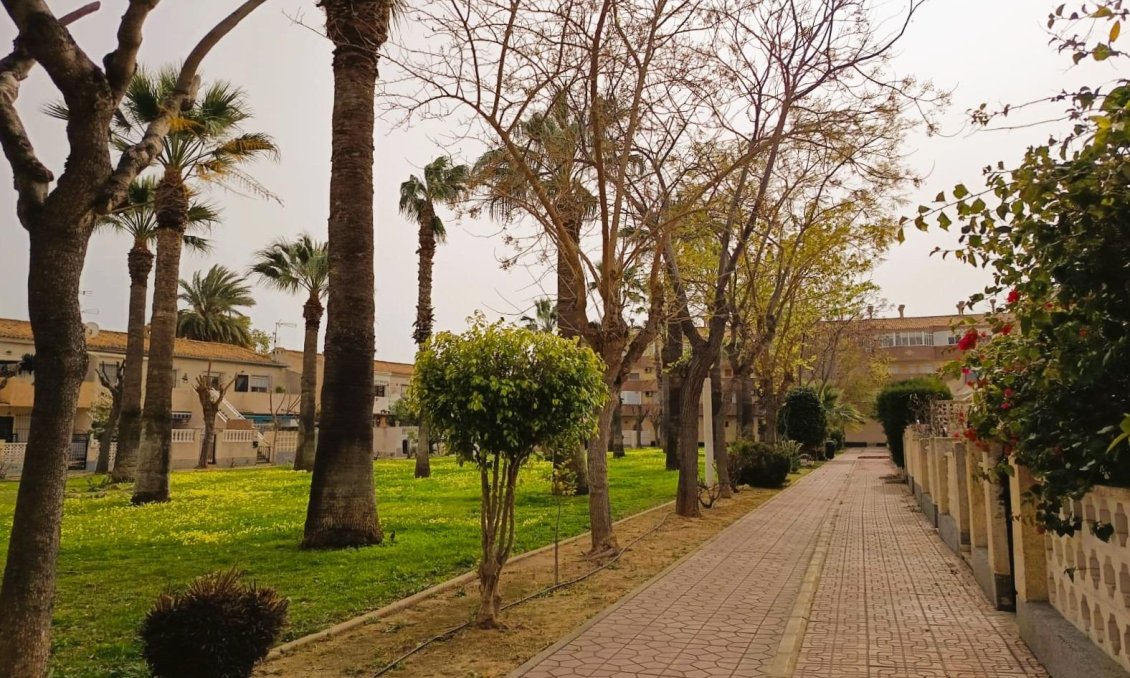 Wiederverkauf - Wohnung -
Orihuela Costa - Costa Blanca