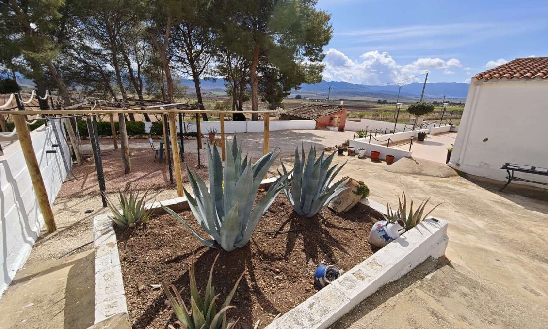 Revente - Town House -
Yecla - Inland