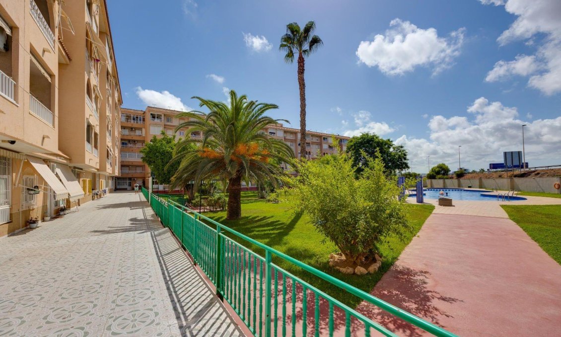 Segunda mano - Ático -
Torrevieja - Centro