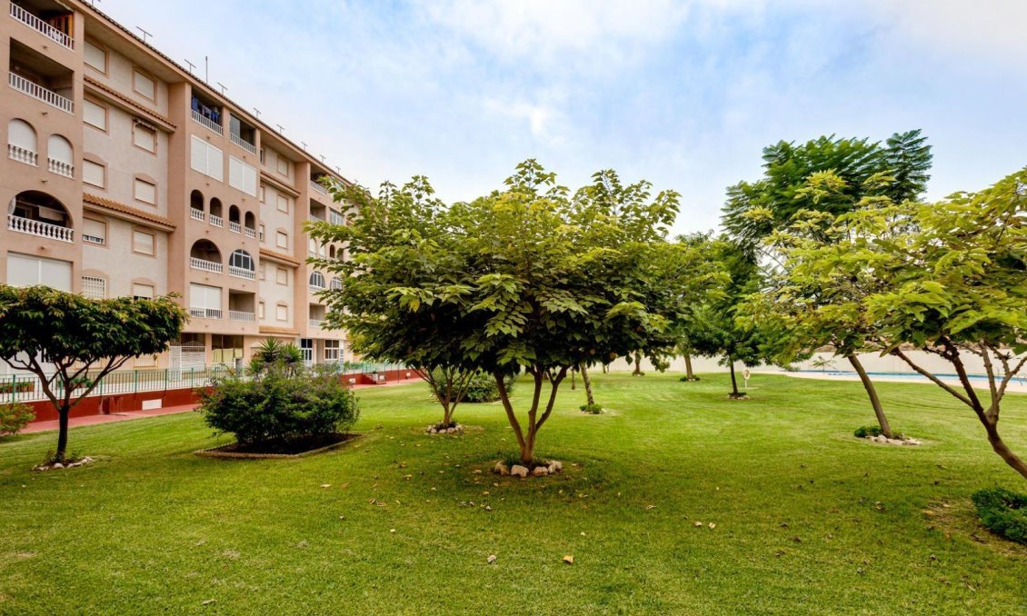 Segunda mano - Ático -
Torrevieja - Centro