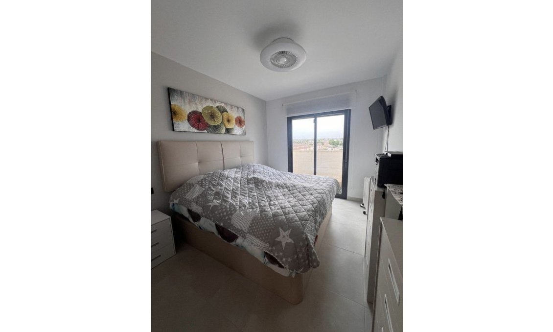 Segunda mano - Penthouse Penthouse -
Guardamar del Segura - El Raso