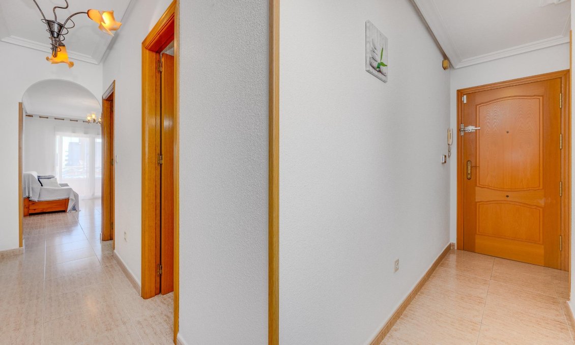 Segunda mano - Apartamento -
Torrevieja - Estacion De Autobuses