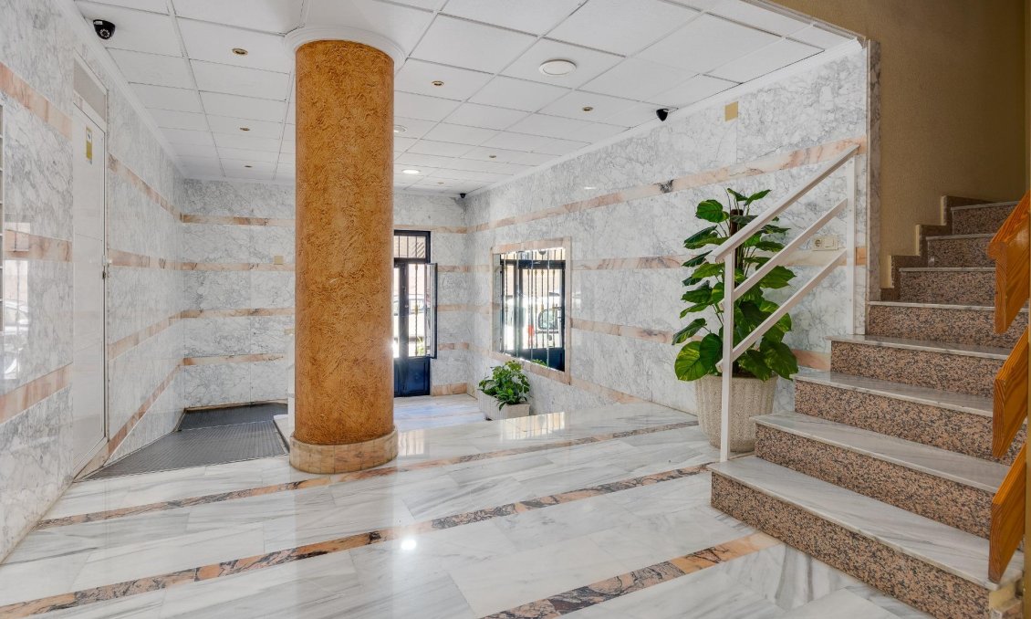 Segunda mano - Apartamento -
Torrevieja - Estacion De Autobuses