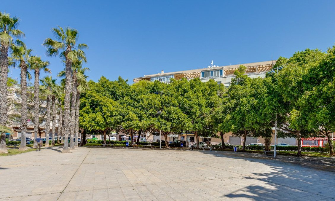 Segunda mano - Apartamento -
Torrevieja - Estacion De Autobuses