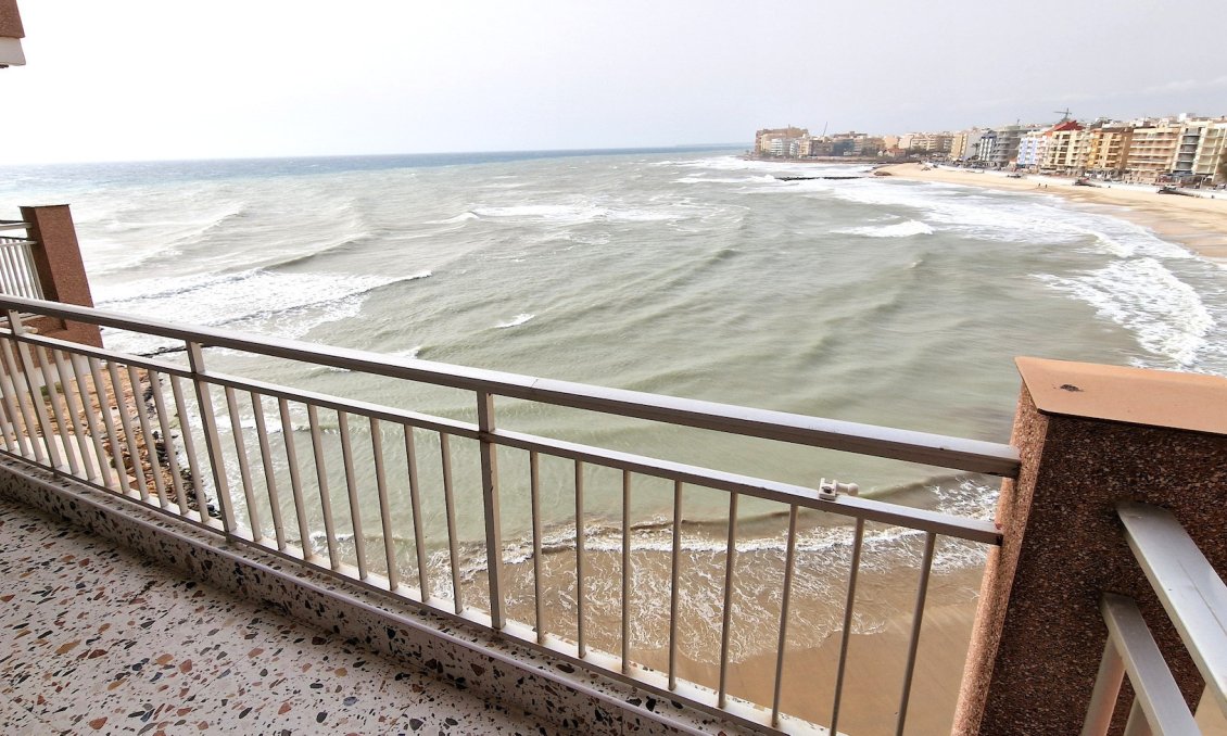 Használt Ingatlanok - Apartman -
Torrevieja - Costa Blanca