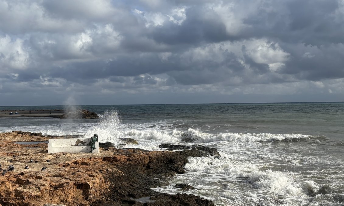 Használt Ingatlanok - Apartman -
Torrevieja - Costa Blanca