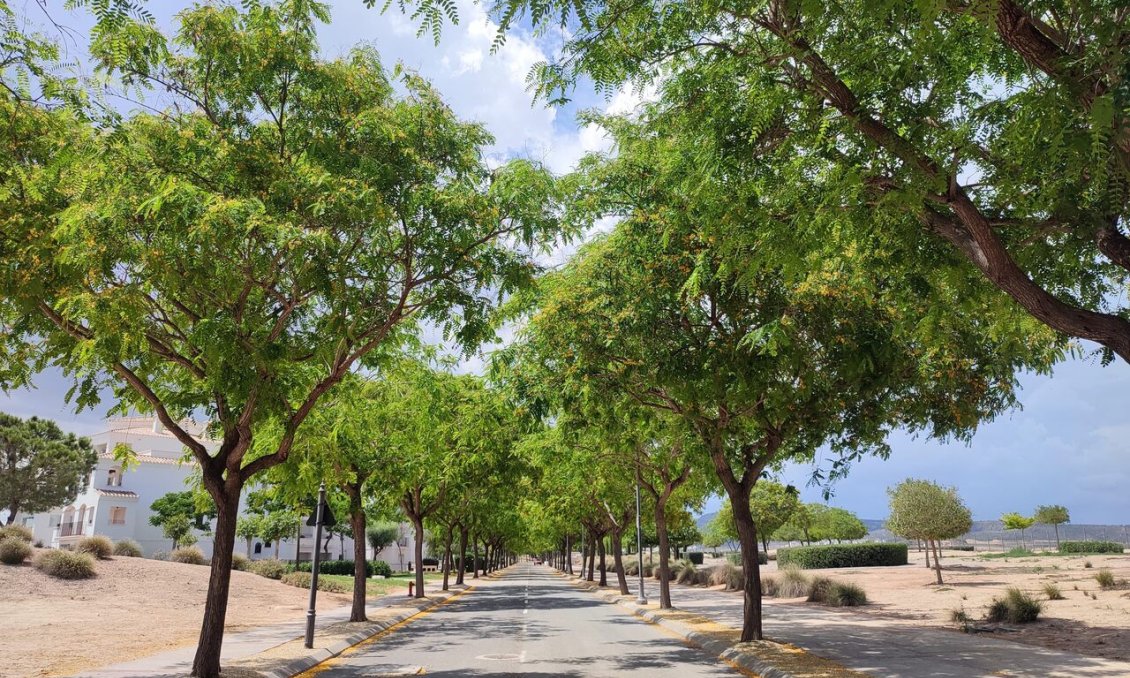 Resale - Apartment -
Hacienda Riquelme Golf Resort - Inland