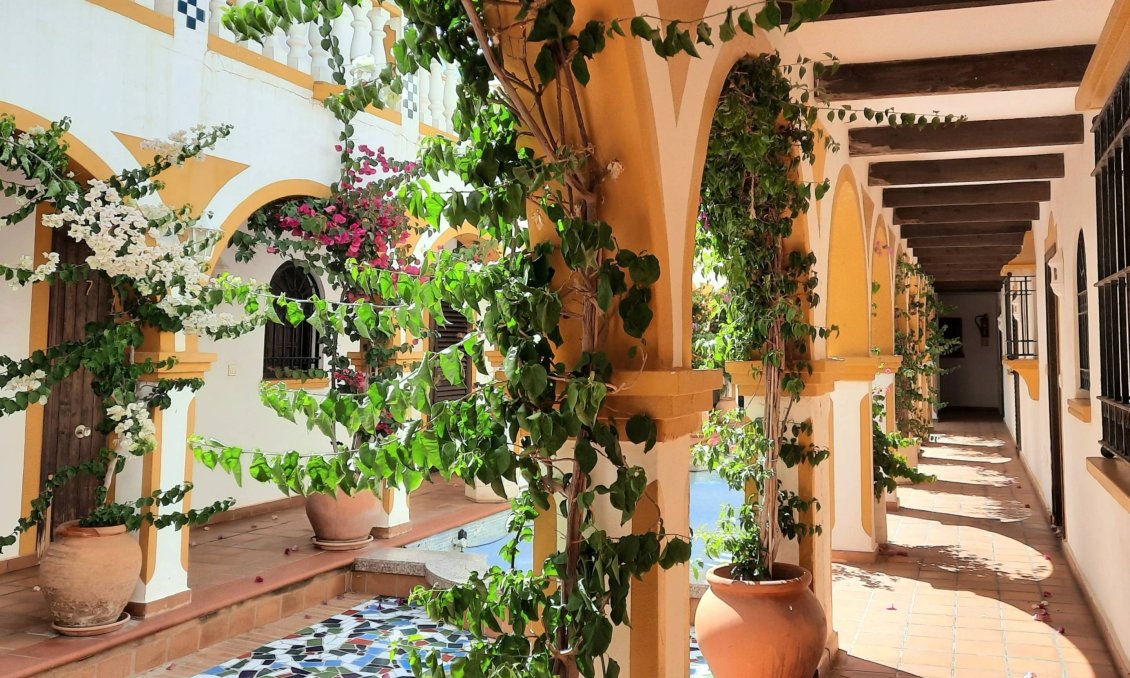 Revente - Bungalow -
Torrevieja - La Mata