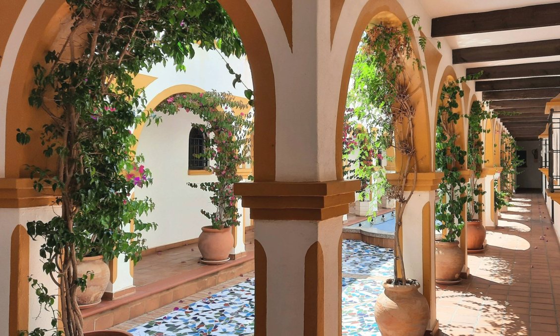 Revente - Bungalow -
Torrevieja - La Mata