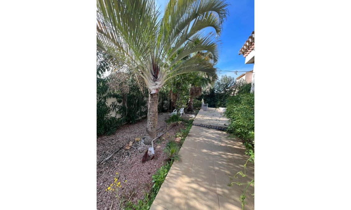 Resale - Villa -
Playa Flamenca