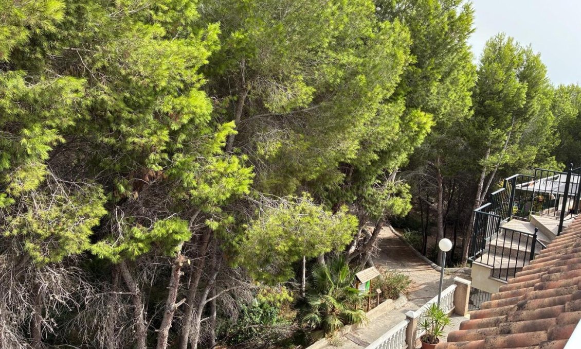 Segunda mano - Apartamento -
Algorfa - Costa Blanca