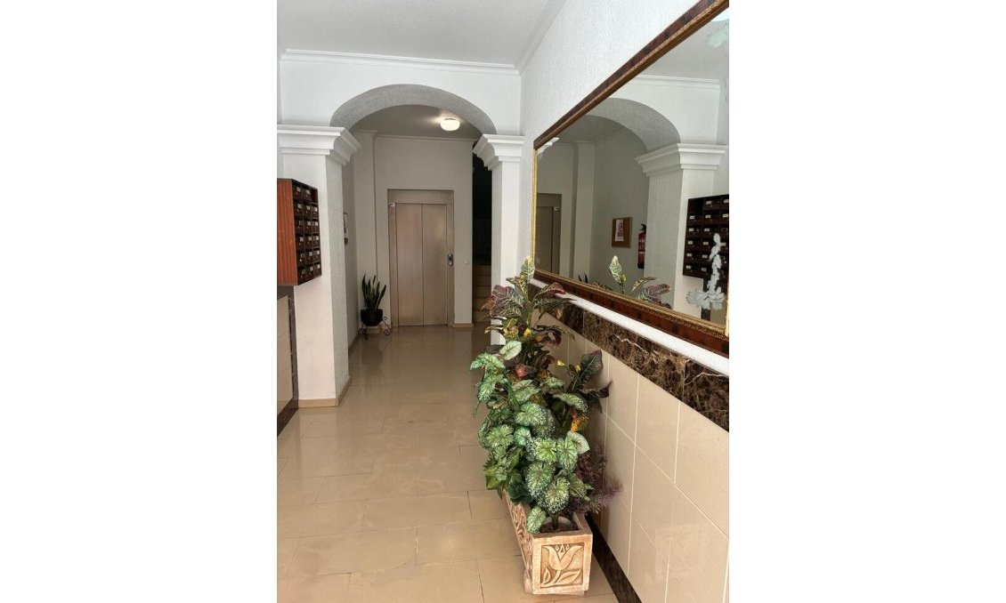 Segunda mano - Apartamento -
Almoradí - Costa Blanca