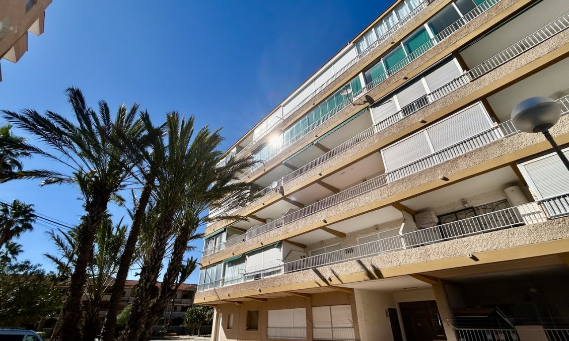 Használt Ingatlanok - Apartman -
Guardamar del Segura - Costa Blanca