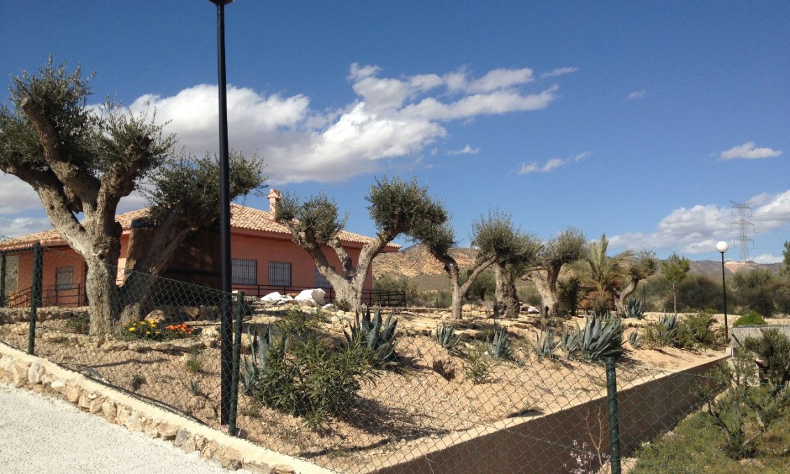 Revente - Villa -
Abanilla - Inland