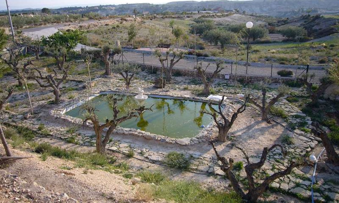 Revânzare - Vilă -
Abanilla - Inland