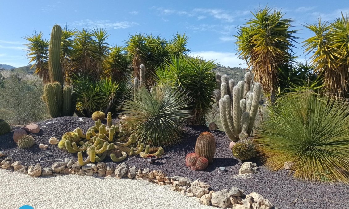 Revânzare - Vilă -
Abanilla