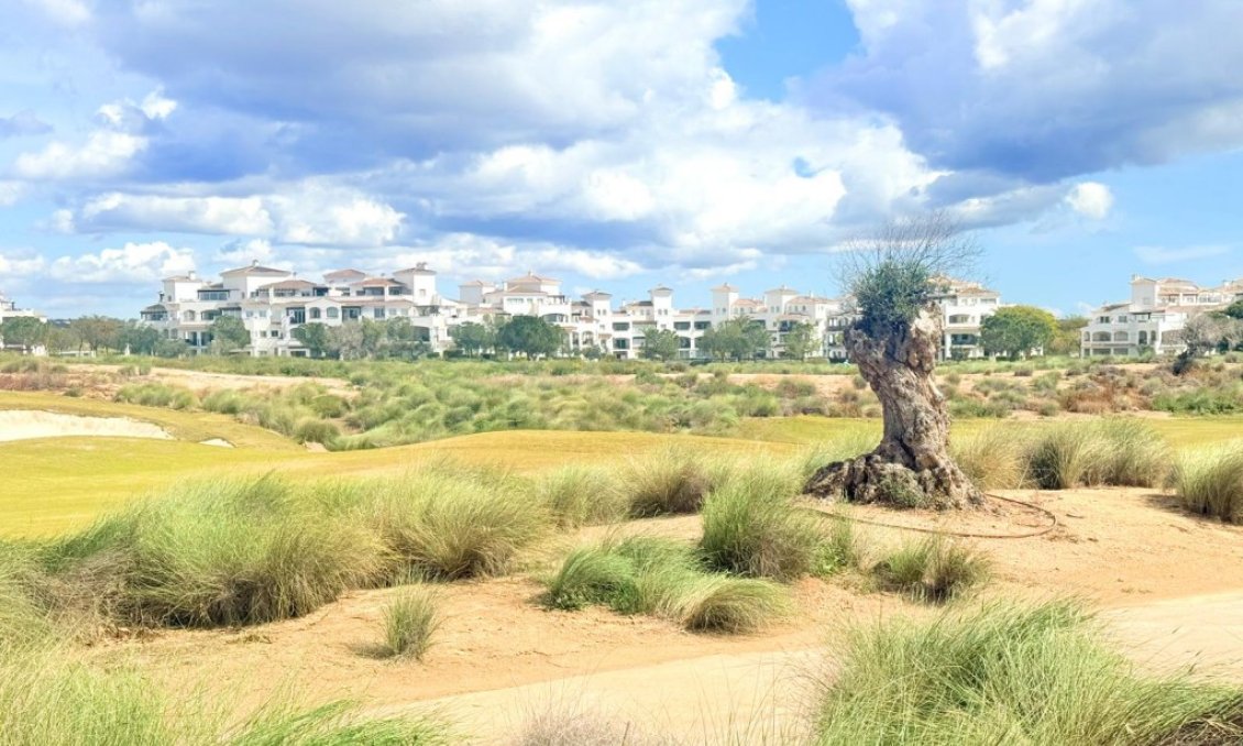 Resale - Duplex -
Hacienda Riquelme Golf Resort - Inland