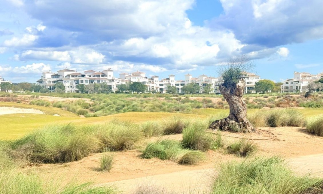 Resale - Duplex -
Hacienda Riquelme Golf Resort - Inland
