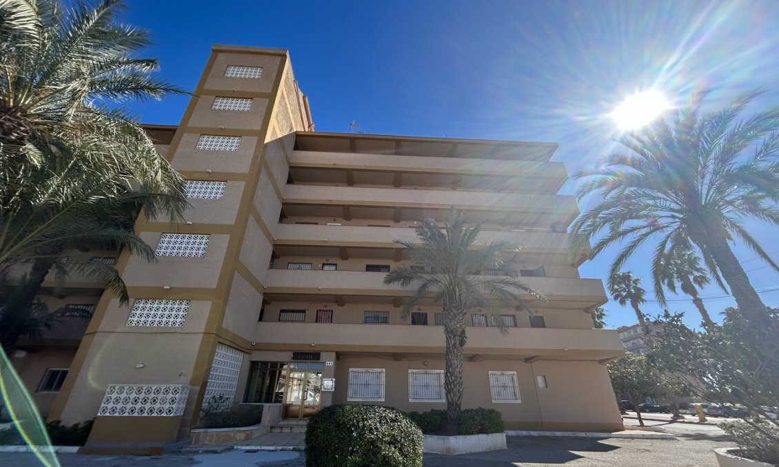 Használt Ingatlanok - Apartman -
Guardamar del Segura - Costa Blanca
