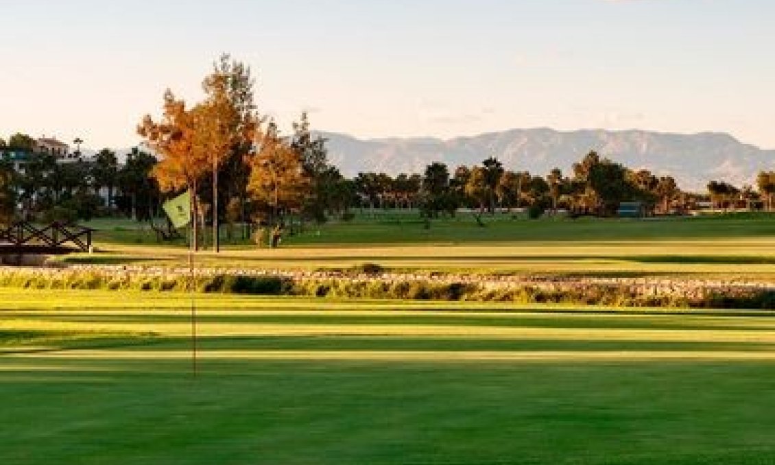 Használt Ingatlanok - Villa -
Ciudad Quesada - Costa Blanca