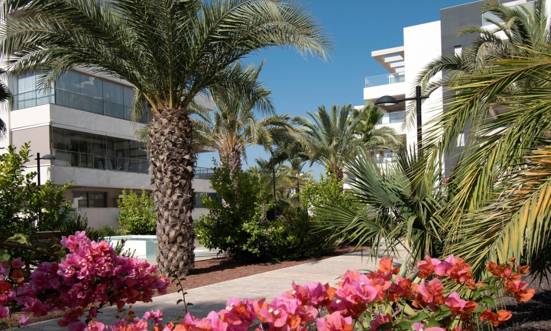 Segunda mano - Apartamento -
Orihuela Costa - Los Dolses