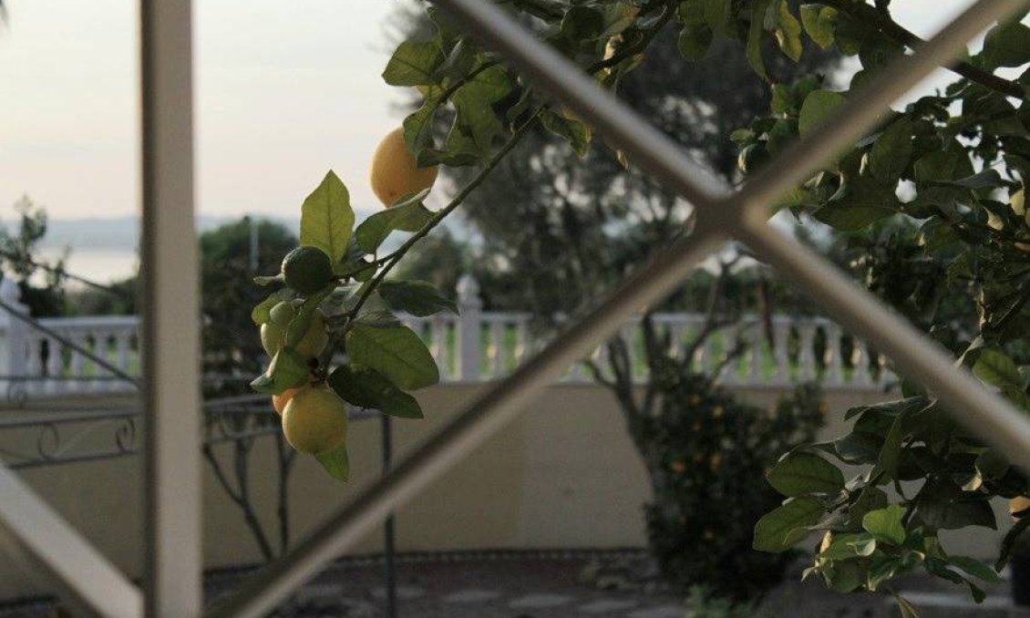 Segunda mano - Villa -
Torrevieja - La Siesta - El Salado - Torreta