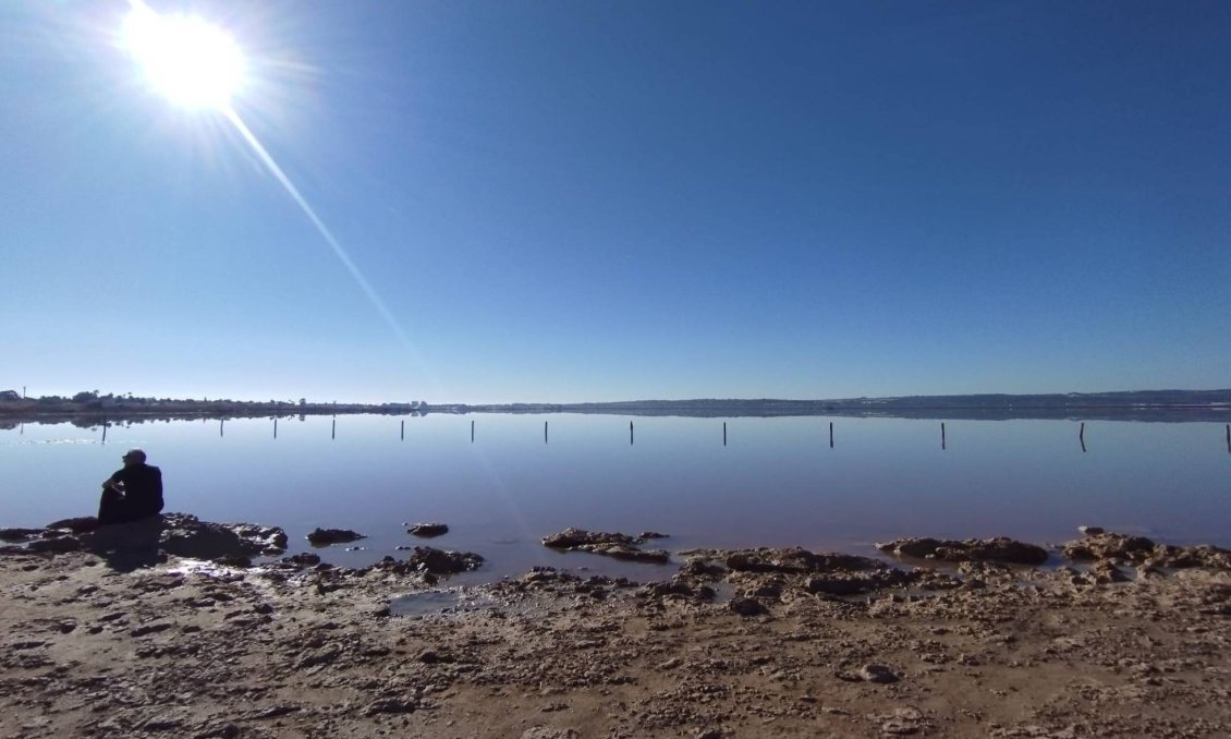 Segunda mano - Villa -
Torrevieja - La Siesta - El Salado - Torreta
