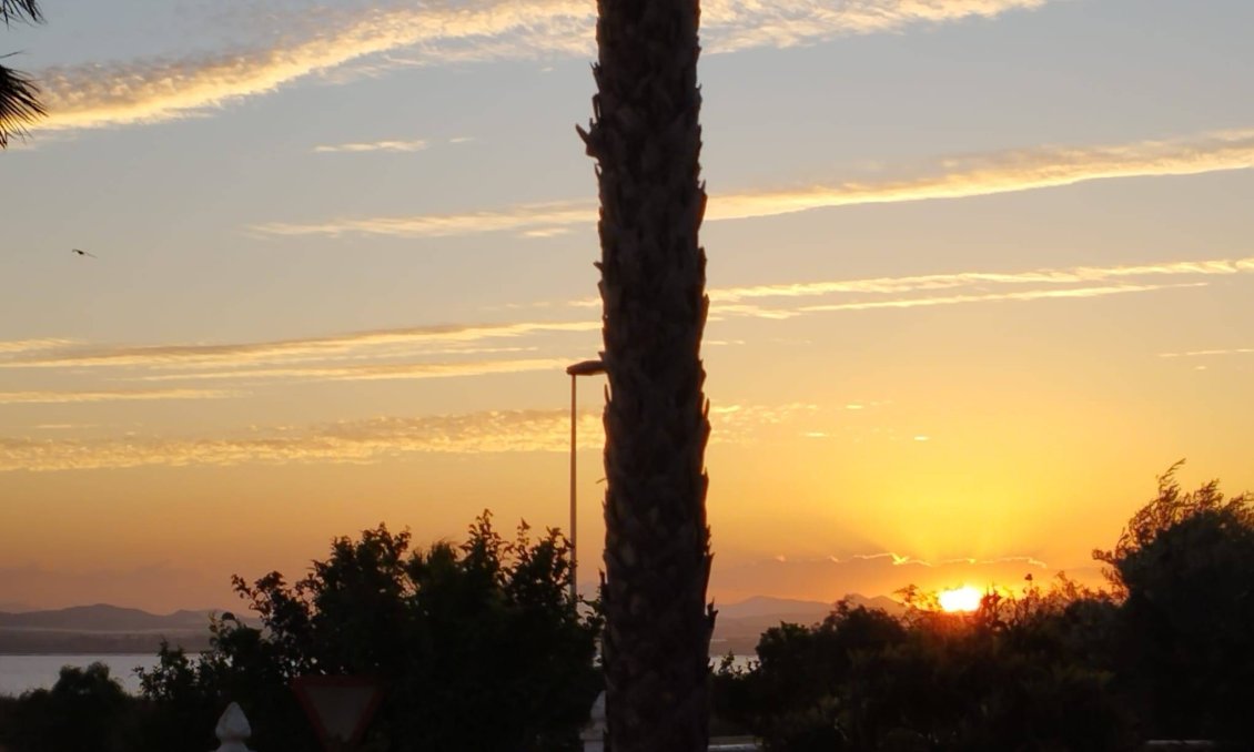 Segunda mano - Villa -
Torrevieja - La Siesta - El Salado - Torreta